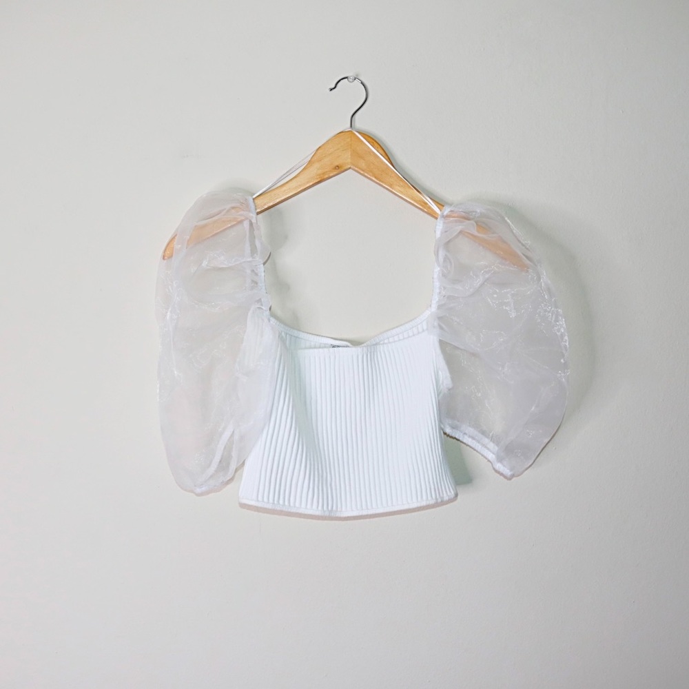 Zara Sheer Puff Sleeves Top with Organza Inserts - Picture 4 of 11